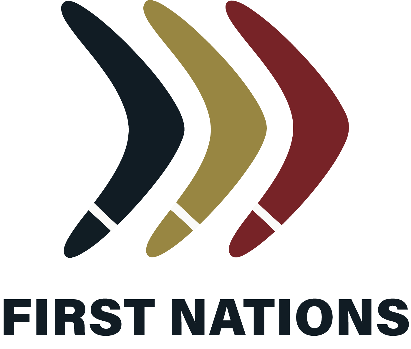 vision-first-nations
